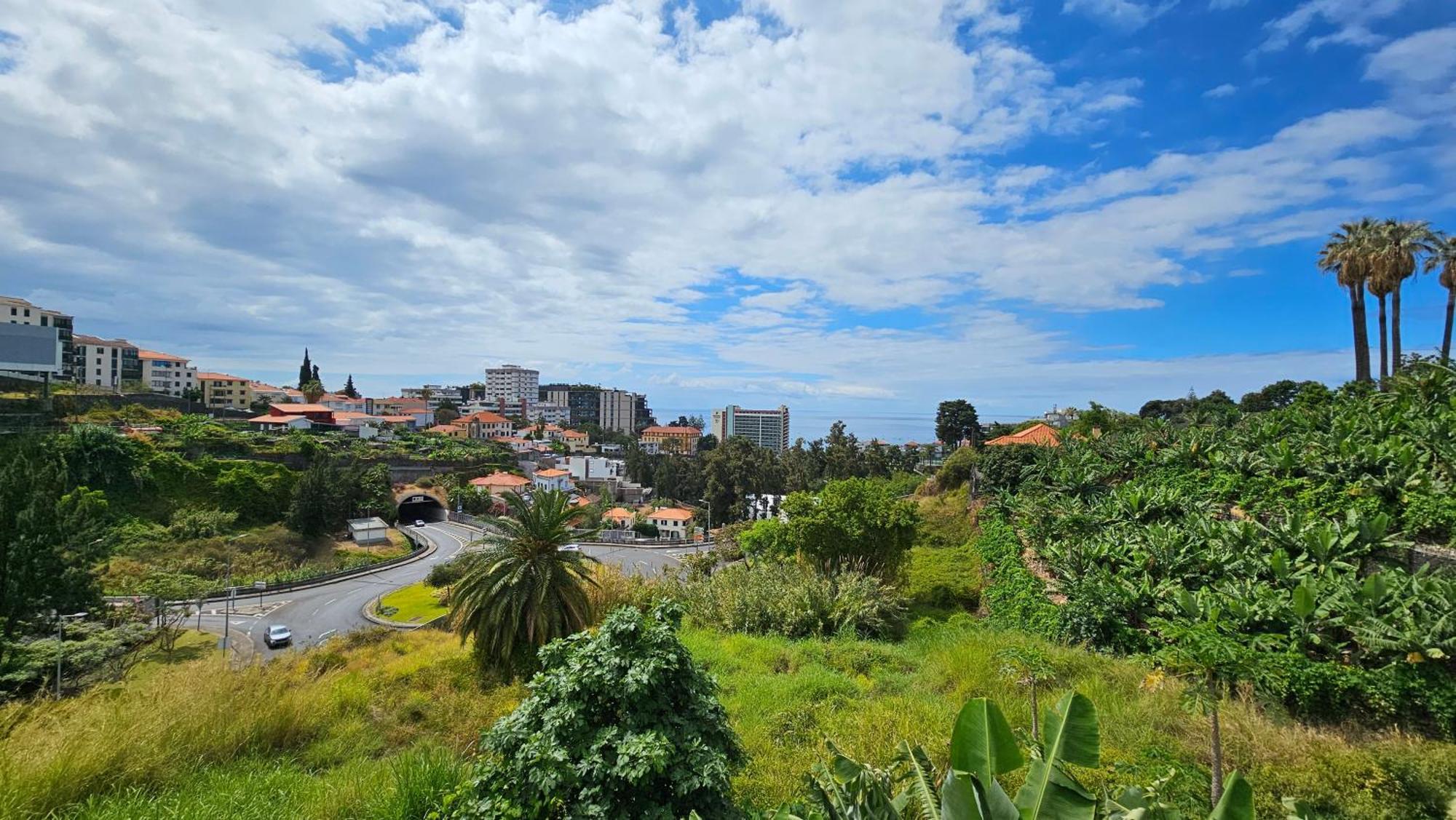 Magnolia Holiday home Funchal (Madeira)